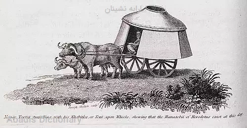 ارابه نشینان
